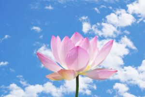 四十九日が終わったら【忌明け】家族がするべきことは？