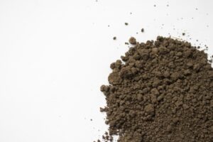 家庭菜園の土の入れ替えは必要？簡単な方法や費用を詳しく解説！