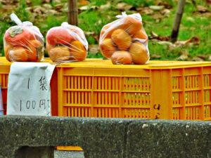 家庭菜園での販売は違法？無人販売に必要な許可と注意点を解説