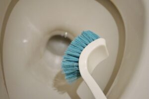 トイレブラシの交換時期はいつ？買い替え頻度と衛生的に使うコツを解説