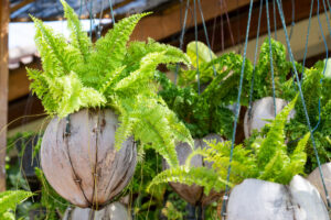 プランターをフェンスにかけるDIY方法は？初心者でも簡単な作り方とおすすめアイデア！