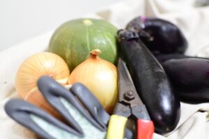 家庭菜園でプランター栽培のコスパを最大化する方法とは？