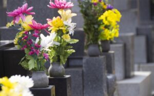 お盆に菊はなぜ選ばれる？意味や理由と菊以外のおすすめの花も解説
